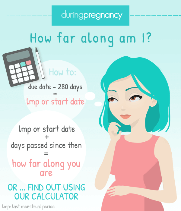 How Far Along Am I Pregnancy Calculator How Many Weeks 