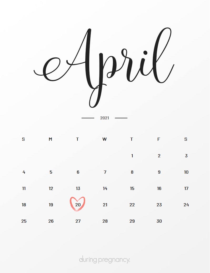 Due Date April 20 2021 During Pregnancy