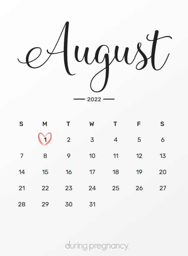 Your Due Date August 1, 2022 During Pregnancy