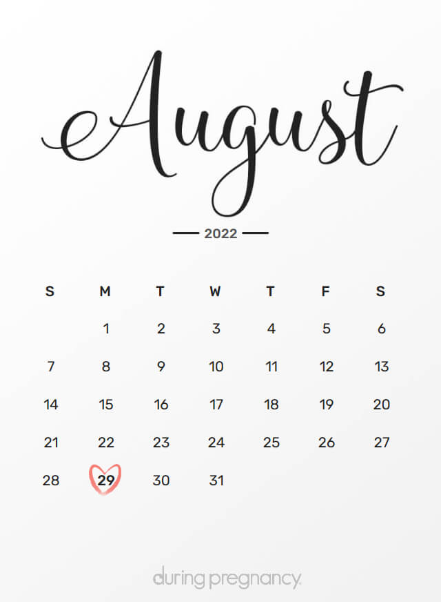 Your Due Date: August 29, 2022 | During Pregnancy