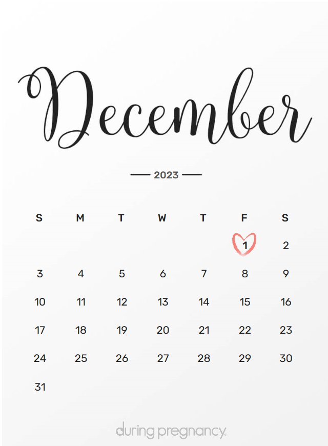 Due date calendar black chalkboard for December 1, 2023