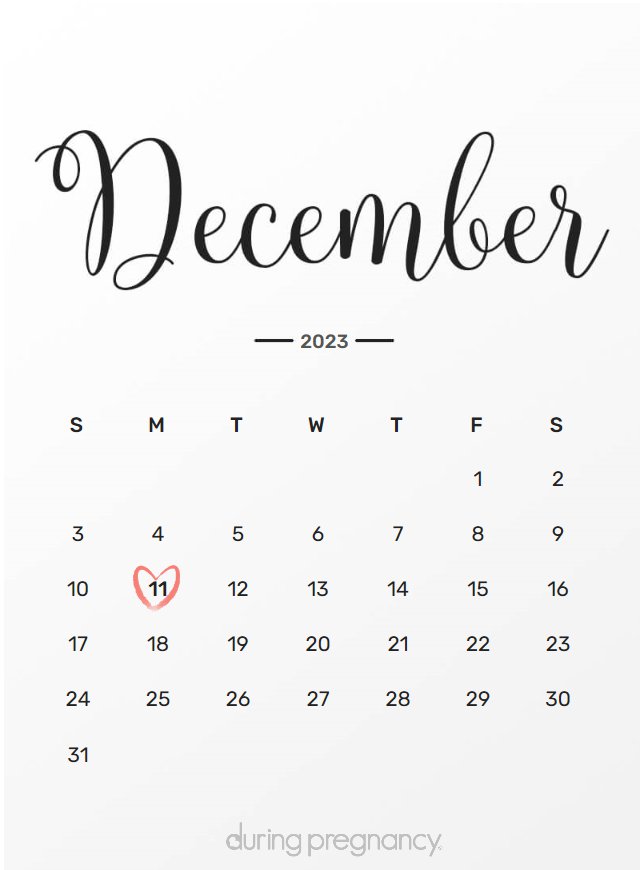Due date calendar black chalkboard for December 11, 2023