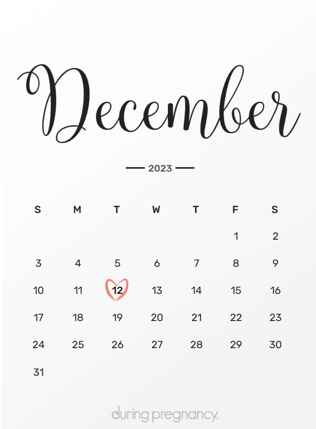 Due date calendar black chalkboard for December 12, 2023