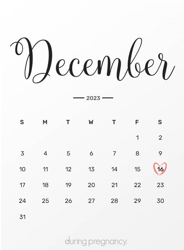 Due date calendar black chalkboard for December 16, 2023