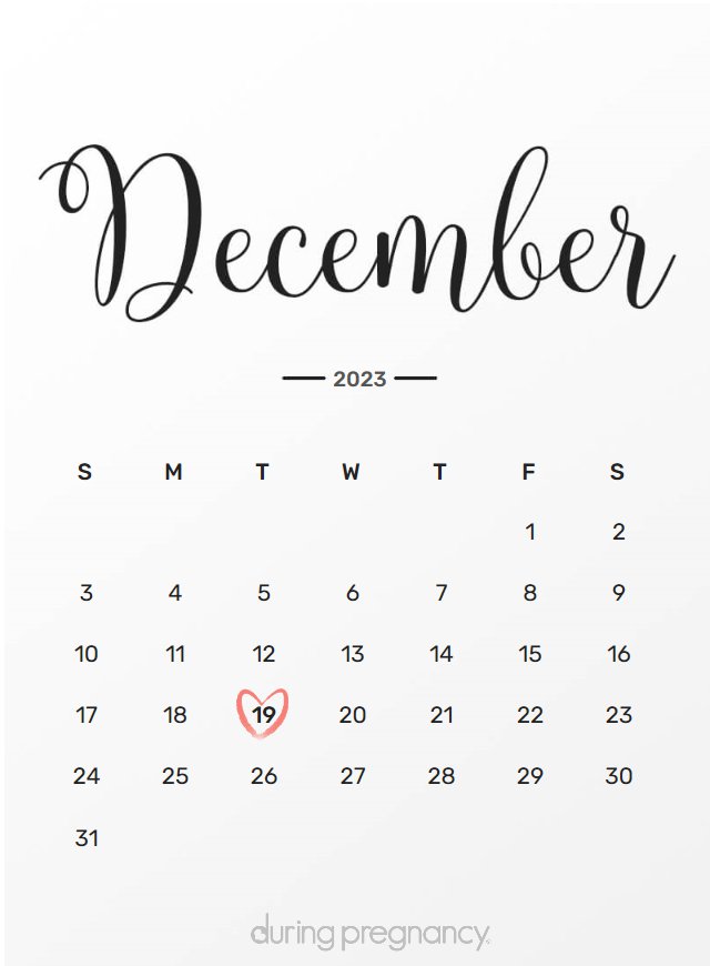 Due date calendar black chalkboard for December 19, 2023