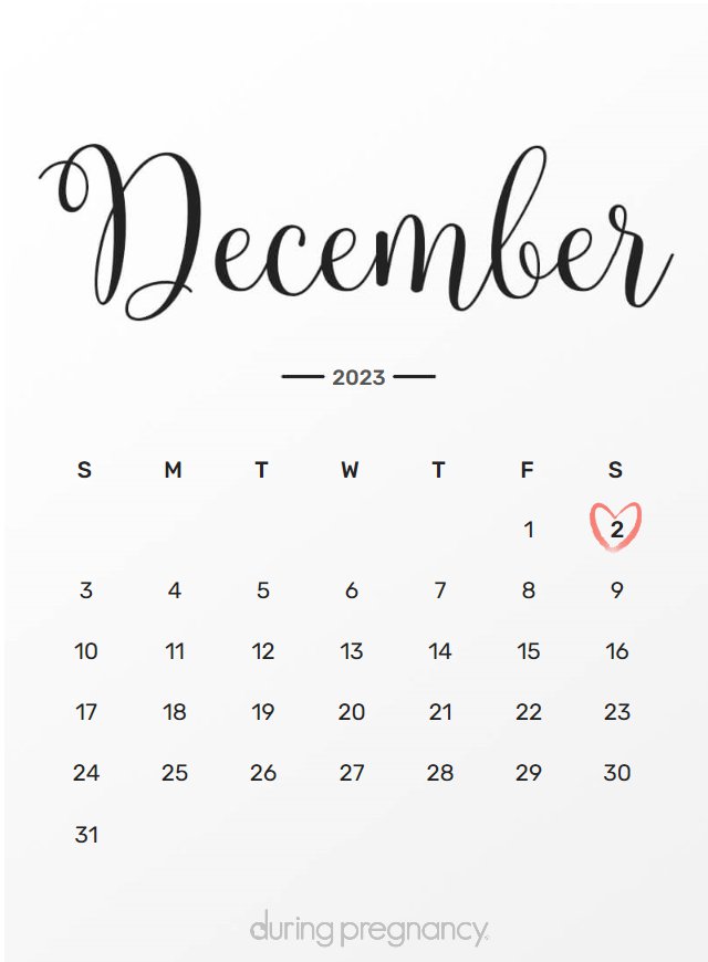 Due date calendar black chalkboard for December 2, 2023
