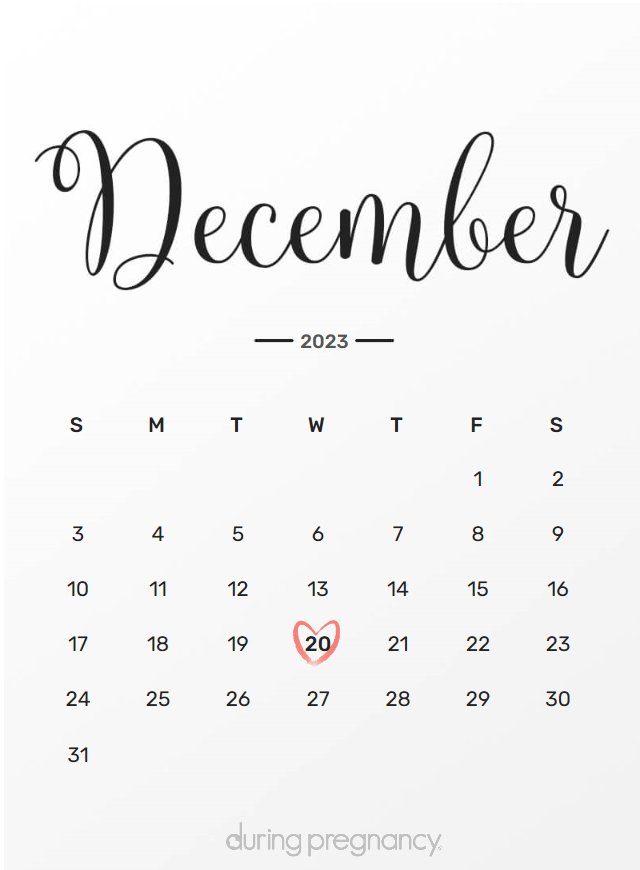 Due date calendar black chalkboard for December 20, 2023