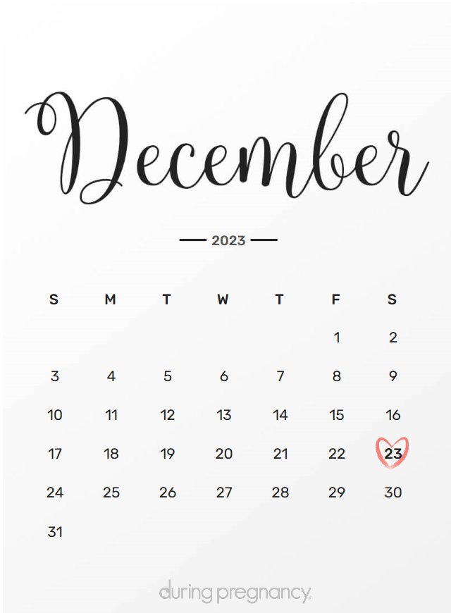 Due date calendar black chalkboard for December 23, 2023