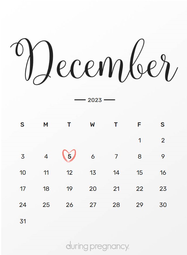 Due date calendar black chalkboard for December 5, 2023