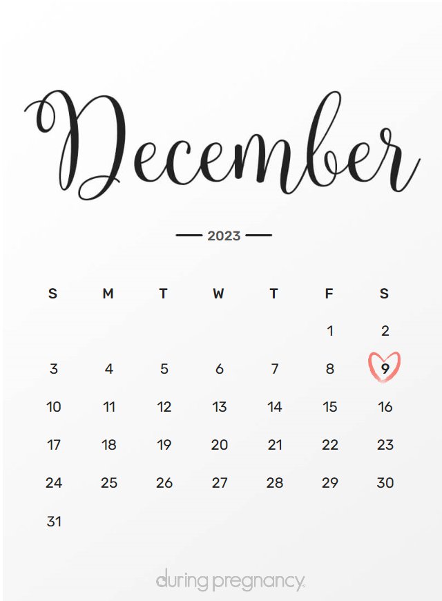 Due date calendar black chalkboard for December 9, 2023