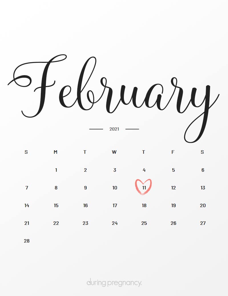 Due Date February 11 21 During Pregnancy