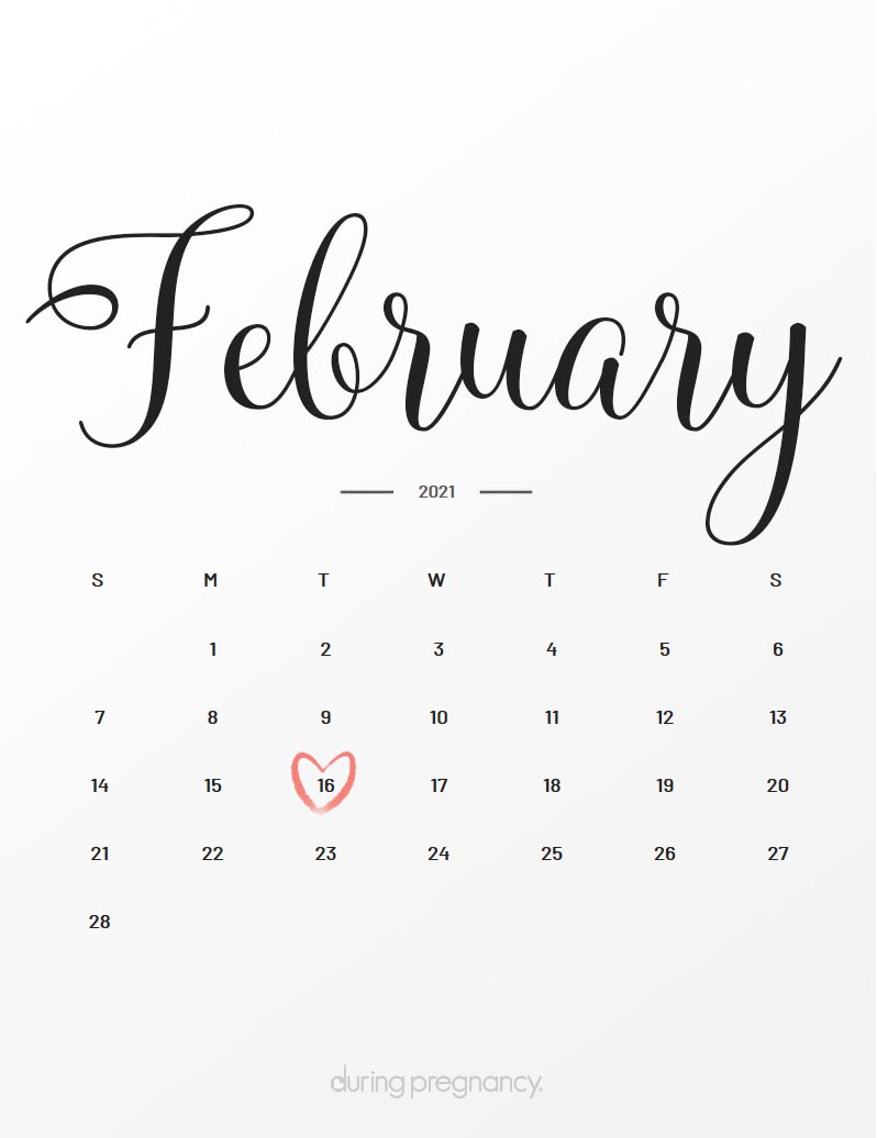 Due Date February 16 2021 During Pregnancy february 16th 2021 doe calendar