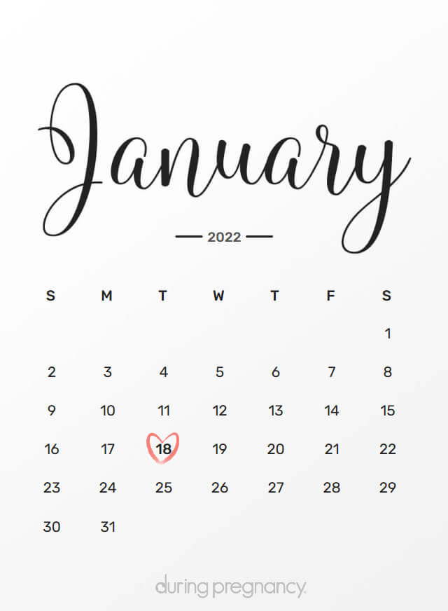 Due Date: January 18, 2022 | During Pregnancy