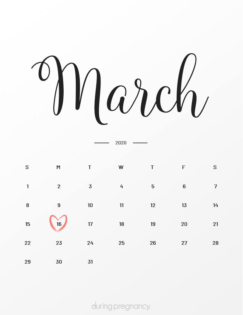 conception to due date month conception to due date month