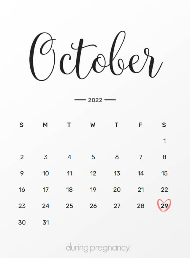 your-due-date-october-29-2022-during-pregnancy