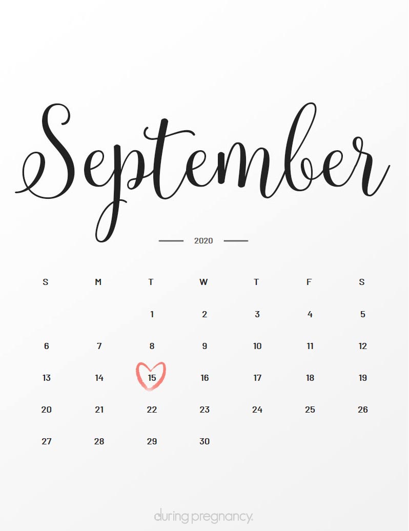 Due Date September 15 During Pregnancy Due Date September 15 During Pregnancy