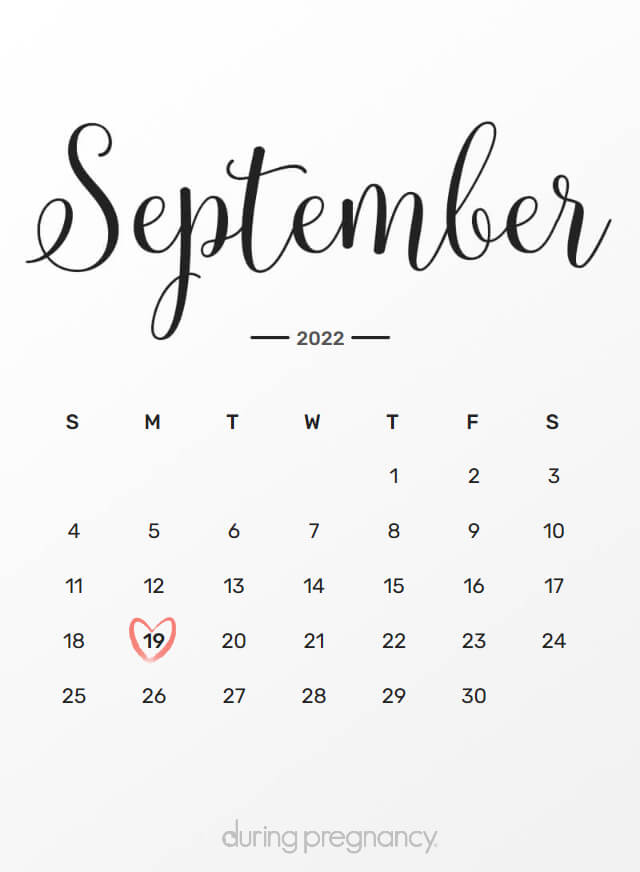 Your Due Date September 19 2022 During Pregnancy