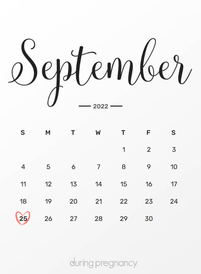 Your Due Date September 25, 2022 During Pregnancy