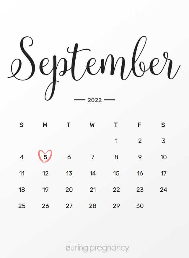Your Due Date September 5 2022 During Pregnancy