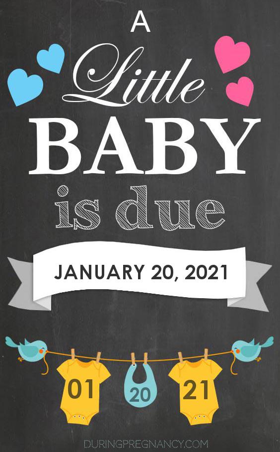 Due Date: January 20 - Announcement Image