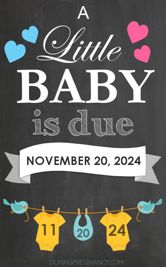 Due Date: November 20 - Announcement Image