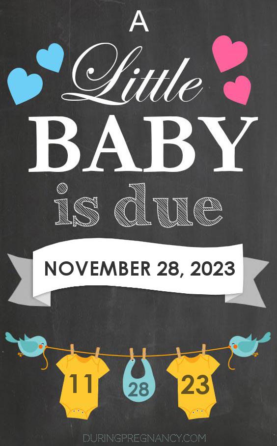 Due Date: November 28 - Announcement Image