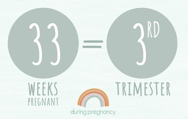33 weeks pregnant is Trimester 3