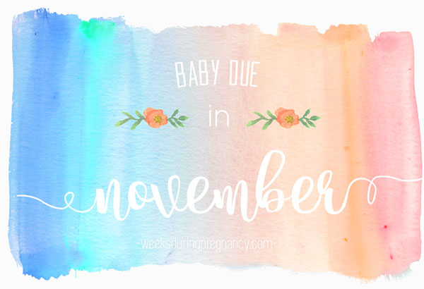 Due Date in November - Announcement Image