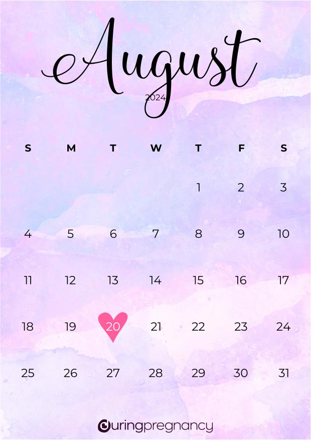 Due date calendarfor August 20, 2024