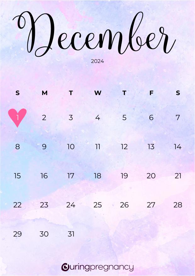 Due date calendarfor December 1, 2024