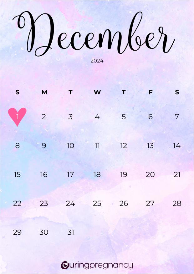 How Far Along Am I Due Date December 1, 2024