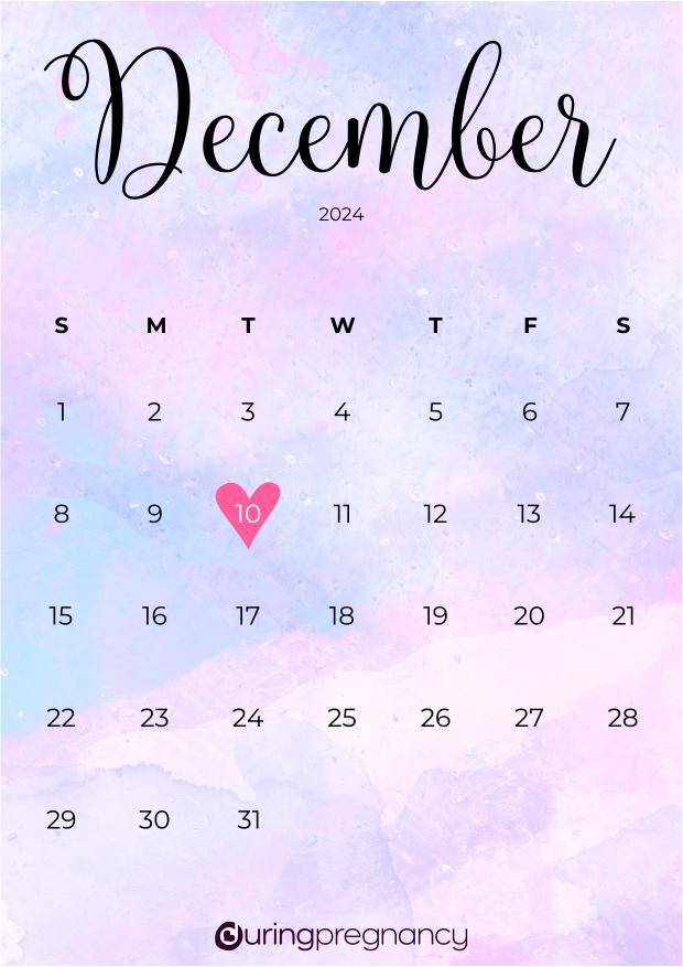 Due date calendarfor December 10, 2024