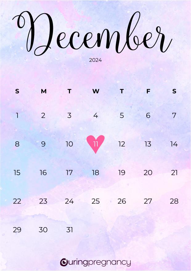 Due date calendarfor December 11, 2024