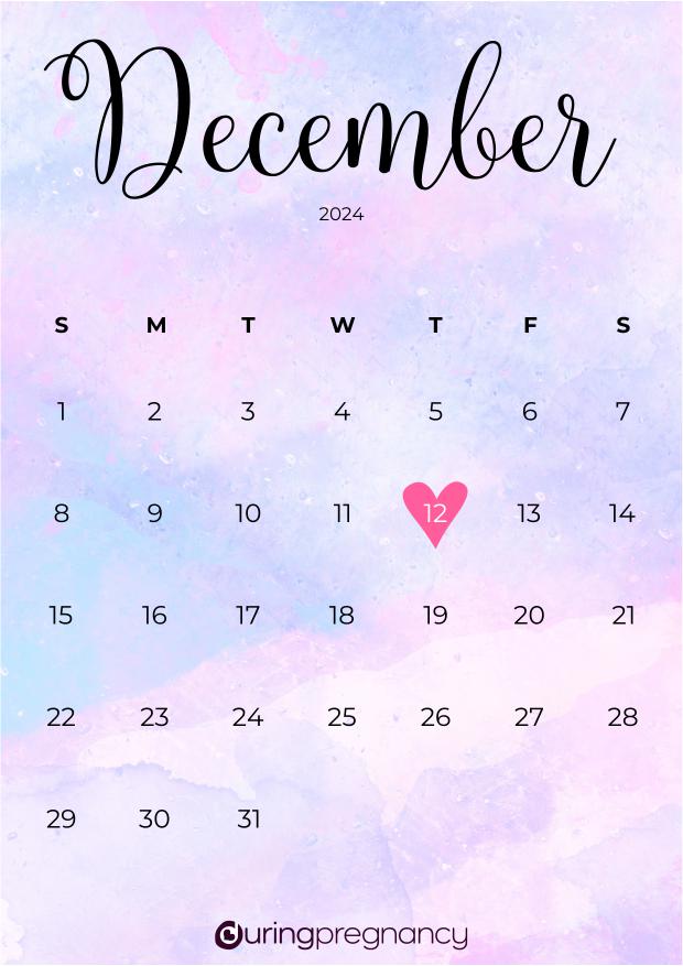 Due date calendarfor December 12, 2024