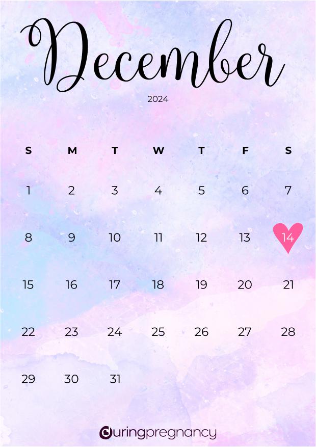 Due date calendarfor December 14, 2024