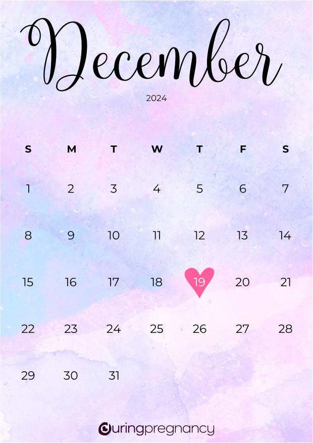 Due date calendarfor December 19, 2024