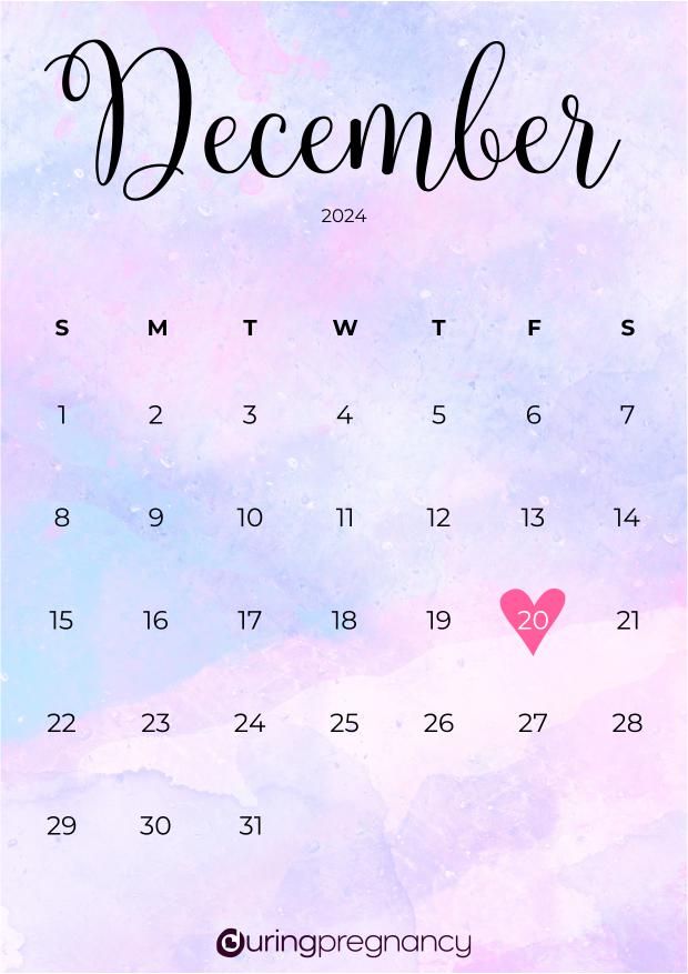 Due date calendarfor December 20, 2024