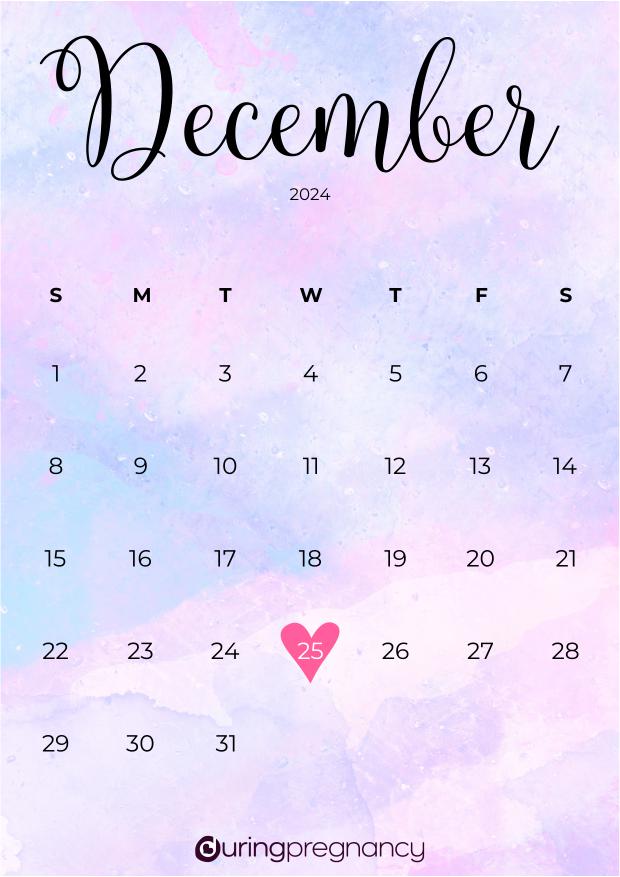 Due date calendarfor December 25, 2024
