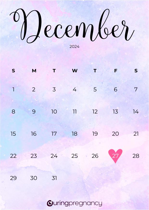 Due date calendarfor December 27, 2024
