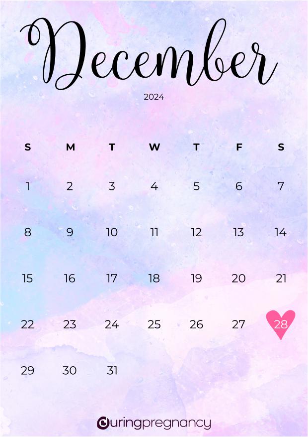 Due date calendarfor December 28, 2024