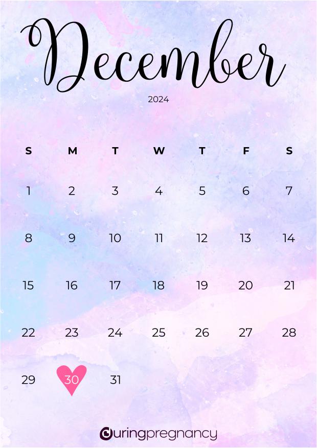 Due date calendarfor December 30, 2024