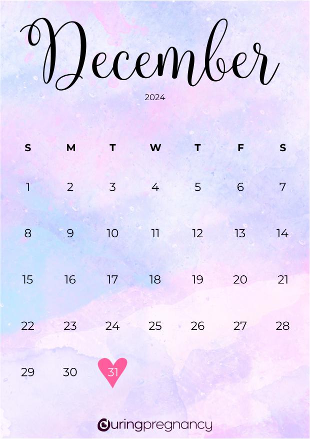 Due date calendarfor December 31, 2024