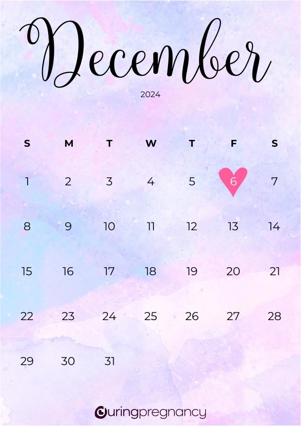 Your Due Date December 6, 2024