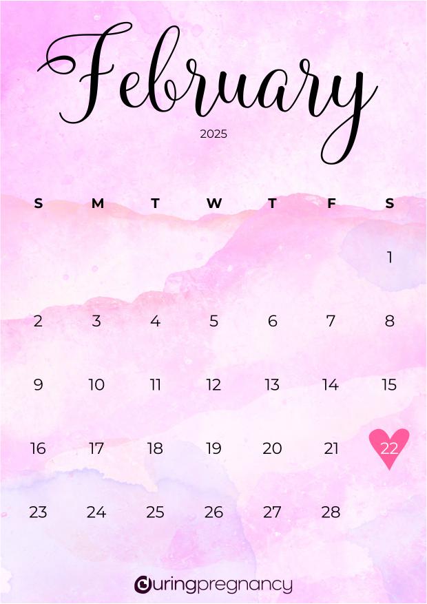 How Far Along Am I Due Date February 22, 2025
