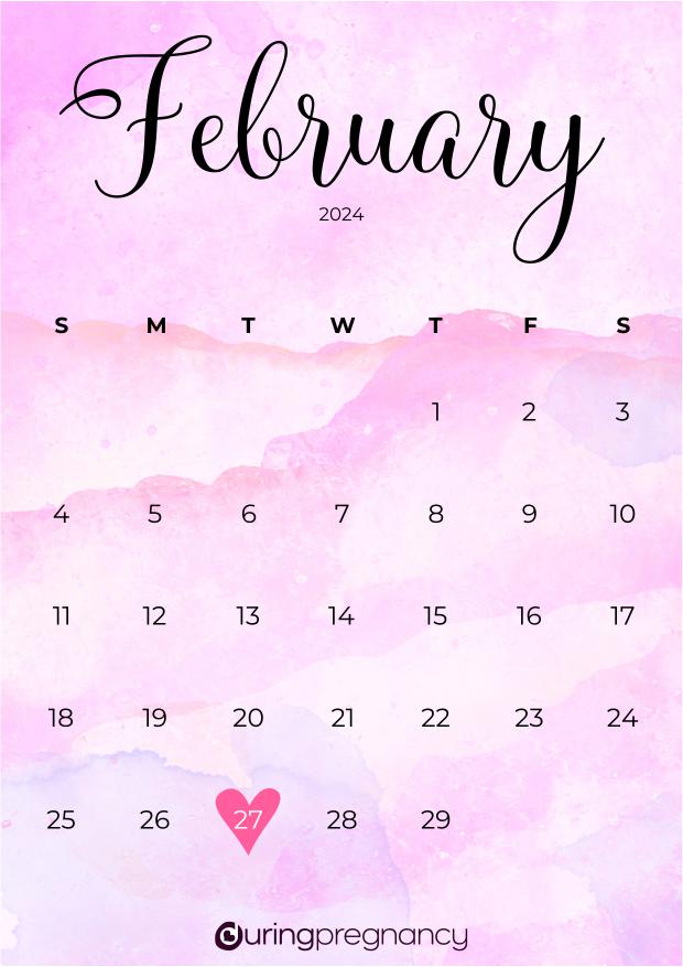 How Far Along Am I Due Date February 27, 2024