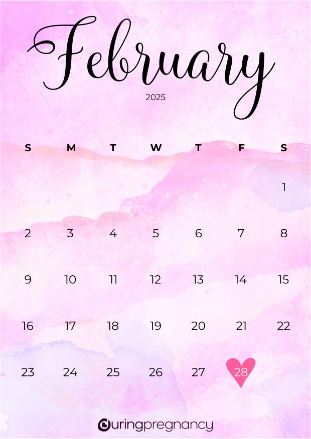 How Many Days Until February 28 2025 From Today Carmon Joannes
