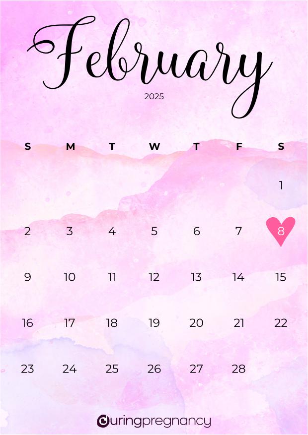 How Far Along Am I Due Date February 8, 2025