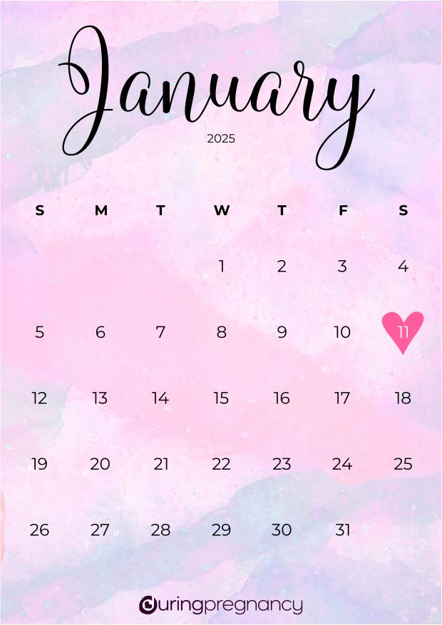 Due date calendarfor January 11, 2025