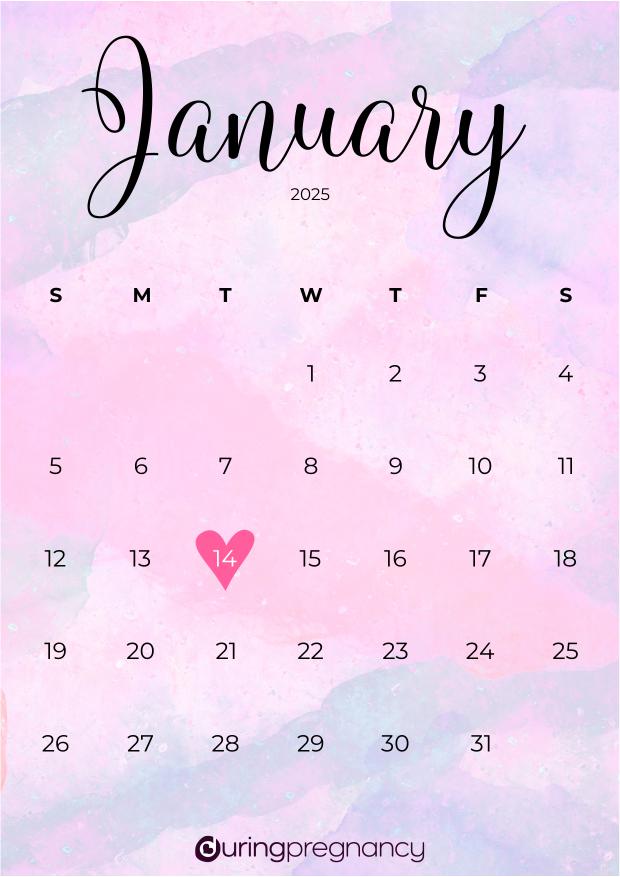 Due date calendarfor January 14, 2025