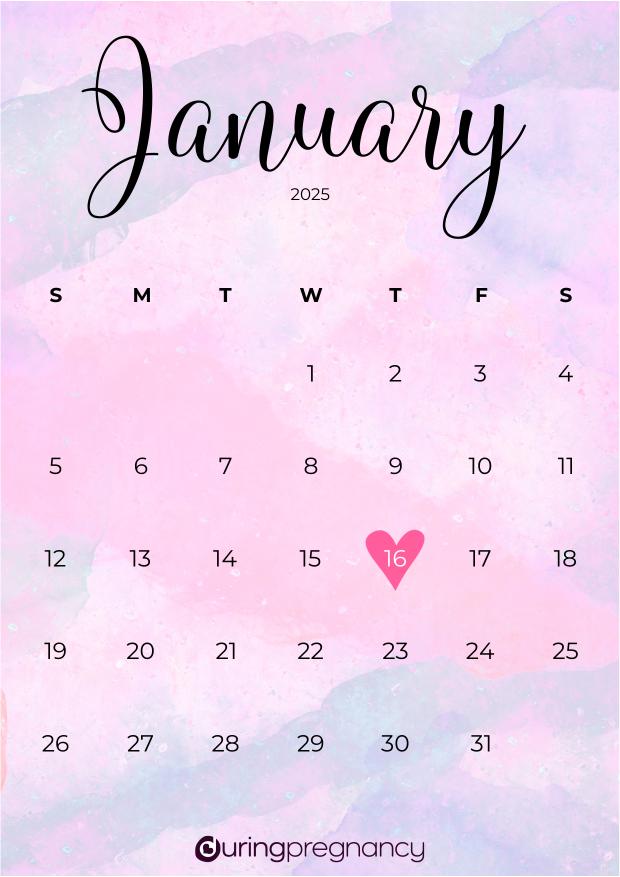 Due date calendarfor January 16, 2025